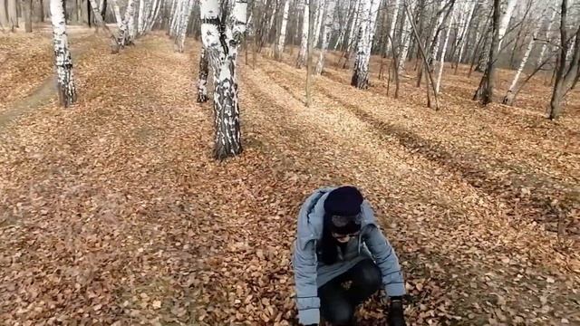 Осенняя прогулка в лесопарке "Лесной" (Тинь-Зинь) смотреть онлайн