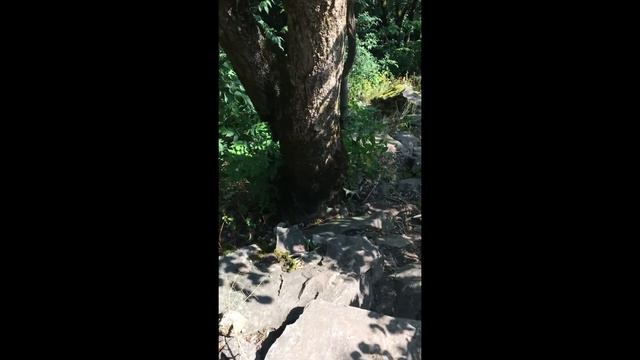 Поход на гору Змейка смотреть онлайн