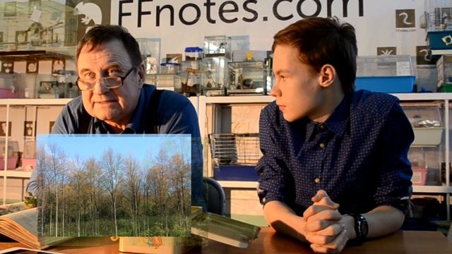 FFnotes - Сезон 1 Серия 4. Златка минирующая. Крошка) смотреть онлайн