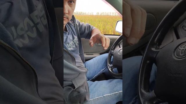 Как ускорить поиск грибов. Подтопольник 2023. смотреть онлайн