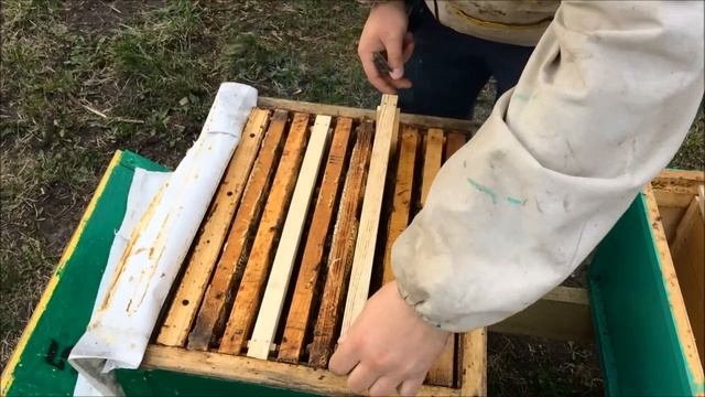 Первое расширение пчелиных семей. Как это правильно сделать? Вощина или сушь? смотреть онлайн