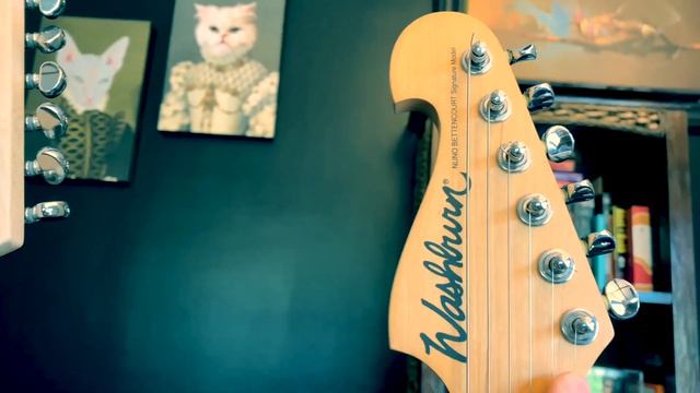 2020 Washburn N4 vs 1991 Davies N4 смотреть онлайн