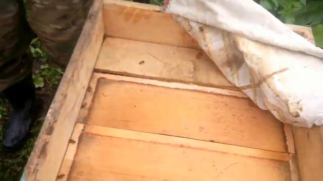Обработка пчел от клеща. Закормка сиропом. смотреть онлайн