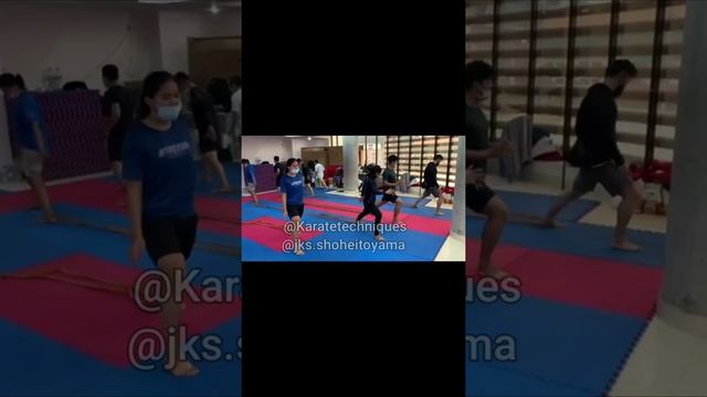 Shotokan Karate Speed And Power Training Stability.exercise with rubber 010101 смотреть онлайн