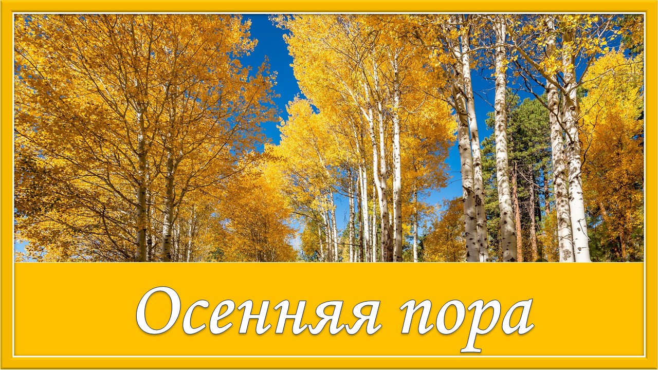 Осенняя пора. Песня про осень