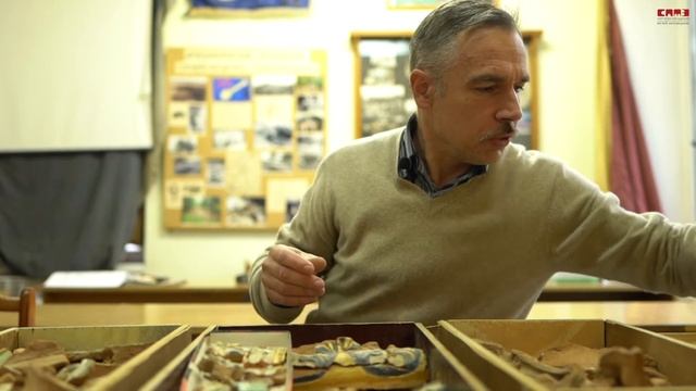 Изразцы печей XVII века Царского путевого дворца в селе Слотино смотреть онлайн