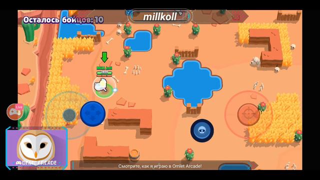 Bravl Stars играем киви в описание смотреть онлайн