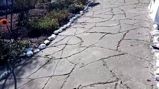 Атамань и мы. смотреть онлайн