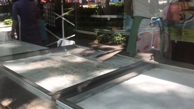 День независимости Республики Беларусь. Прогулка по парку г. Гомель❤️ смотреть онлайн