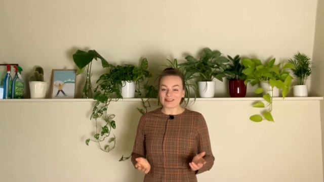 ROUWVLIEGJES Op Je Kamerplanten - Wat Kan Je Eraan Doen?! смотреть онлайн
