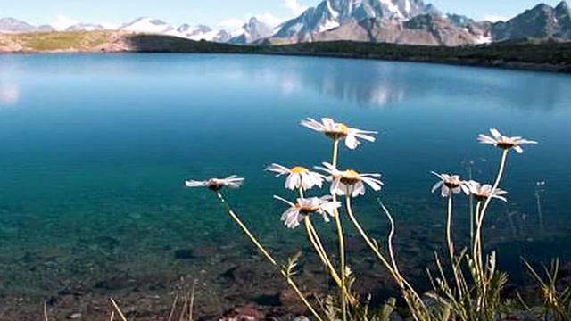 Гендель – Соната No 4 ре мажор op 1, III Larghetto / Handel – Violin Sonata No 4 смотреть онлайн