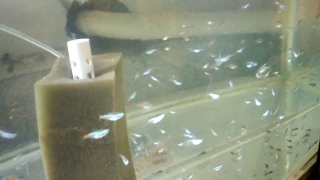 Всё отлично, всё хорошо, работа кипит??? смотреть онлайн