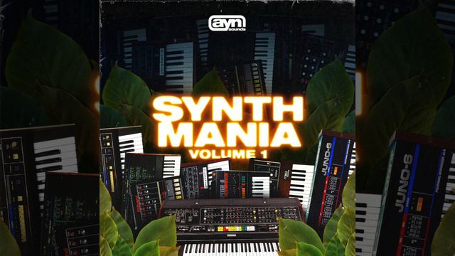 AYN Sounds - Synth Mania Vol. 1 (Multi-Kit) смотреть онлайн