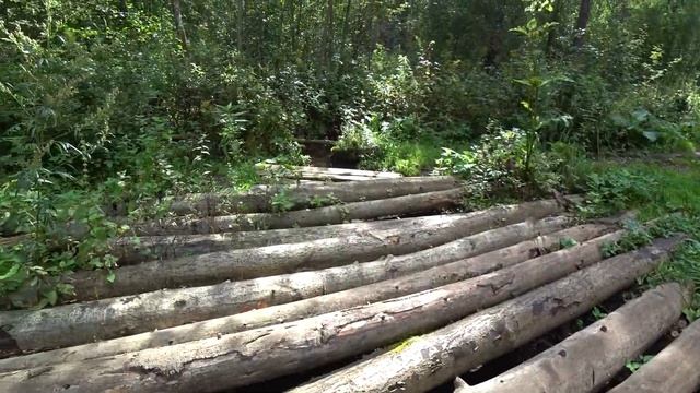 Прогулка по экотропе "В гостях у Липанюшки" 27 авг 2021 смотреть онлайн