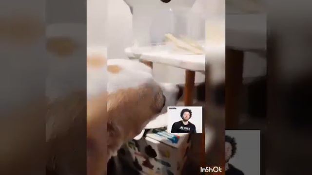 Распаковка коллекции кристаллов от genio kids💣 смотреть онлайн