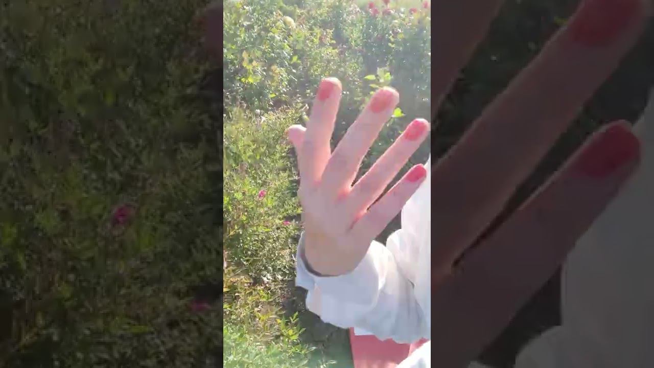 бэйби Кримсон спрей миниатюрные розы rosebushes.ru смотреть онлайн