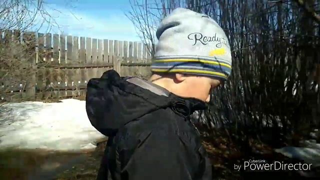 Весна! Скворцы прилетели! смотреть онлайн