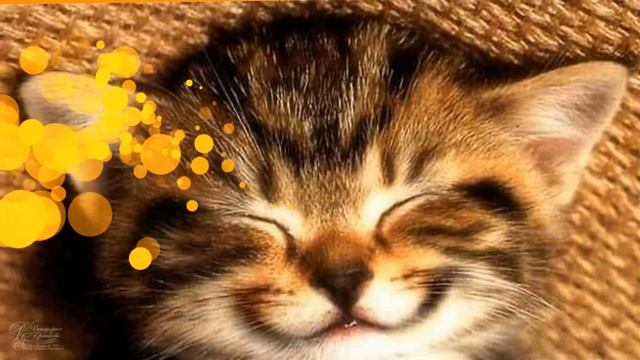 День улыбки. С Днем улыбки. / Smile Day. Happy smiles .World Smile Day ?HD