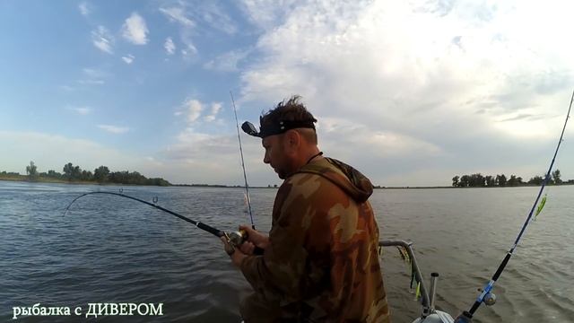 ДИВЕР - Поимка ТРОФЕЙНОГО СОМА - 40 минут кайфа, ловля сома, рыбалка 2017 Харабали река Ахтуба смотреть онлайн