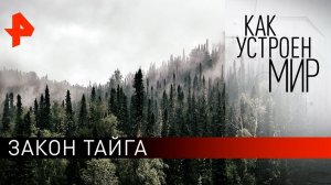 Закон тайга. «Как устроен мир» с Тимофеем Баженовым (10.08.21).