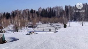 Когда сажать рассаду клубники в Сибири