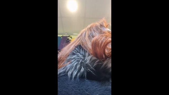 приветуль😉😉 смотреть онлайн