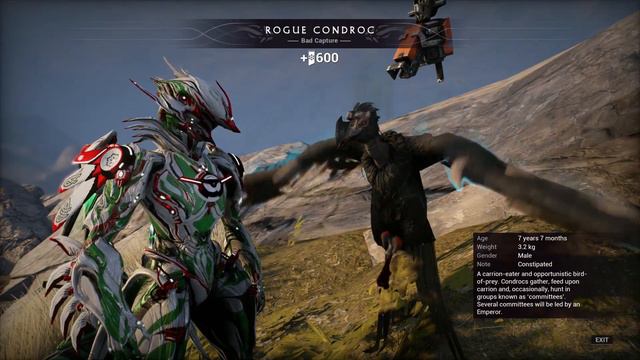 Shawzin* Christmas Special: The Twelve Days of Warframe смотреть онлайн