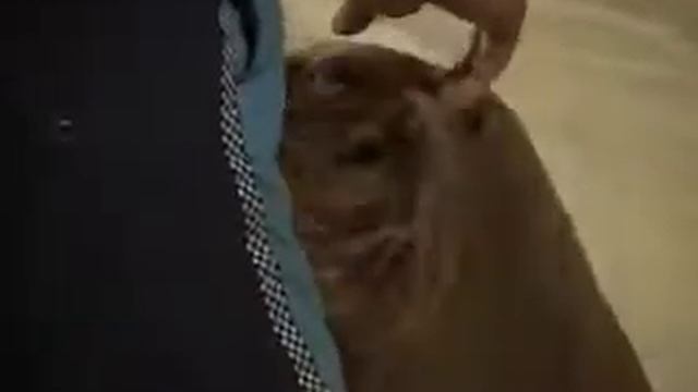 Морские звезды 18-07-12 смотреть онлайн