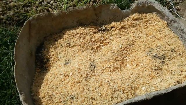 Первый опытный замес арболита, опилкобетона.