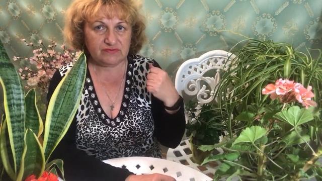 Друиды . Здоровье часть 2 смотреть онлайн