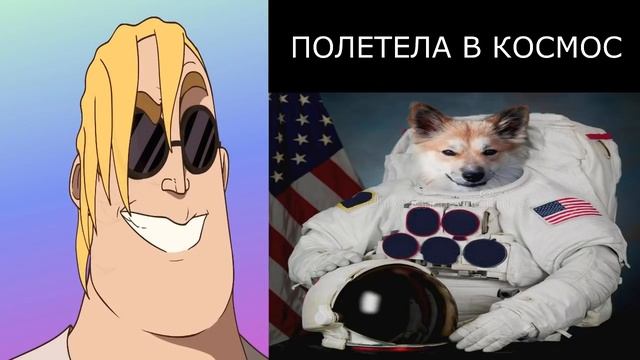 Твоя собака сделала это смотреть онлайн