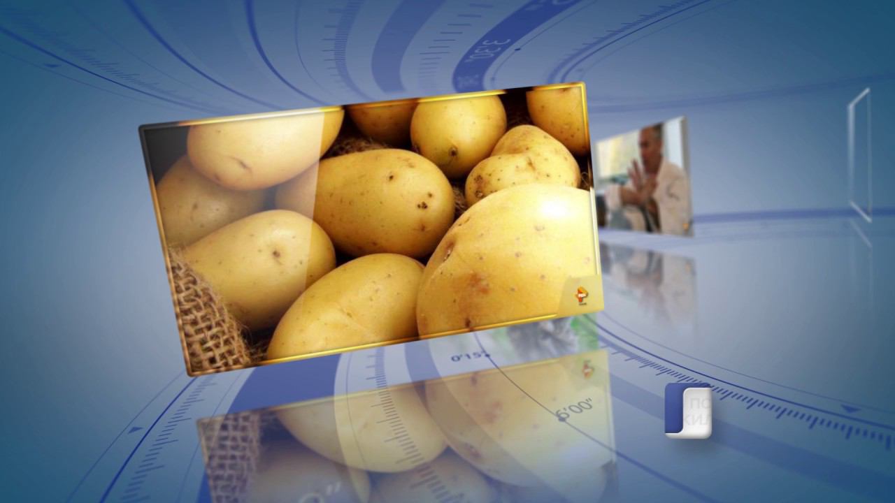 РЕН Новости Псков 07.06.2017 # Актуально смотреть онлайн