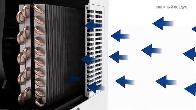 Обзор осушителей воздуха Stadler Form A-040E и A-050R смотреть онлайн