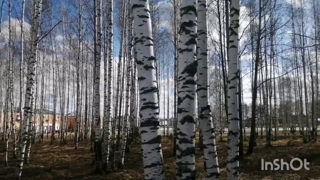 29.04.22 Влог-мой вкусный рацион-пою на прогулке-почему вес стоит. смотреть онлайн