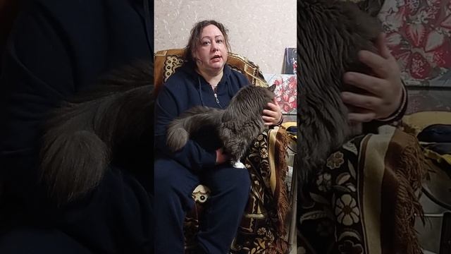 Утяжелители при инсульте. смотреть онлайн