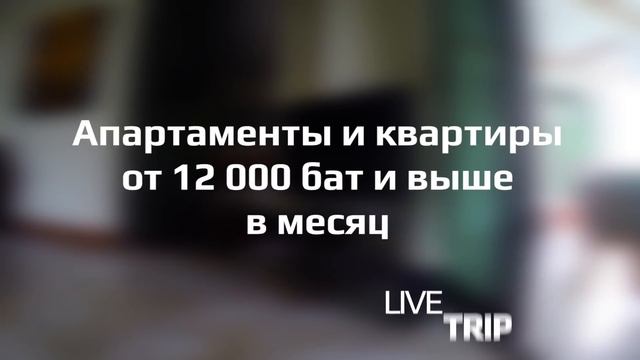 Аренда жилья на Самуи смотреть онлайн