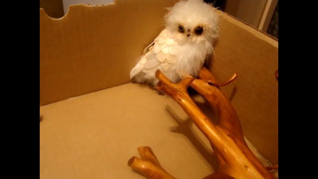 СКАЗКА про джунгарских хомяков! "Куда пропали запасы?" смотреть онлайн