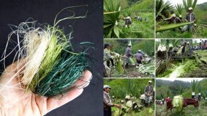 §43 "Северная Америка: путешествие" (1), География 7 класс, Полярная звезда