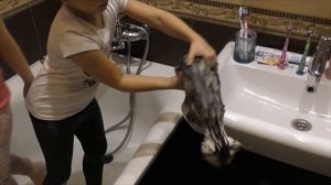 КУПАЕМ КОШКУ в ванной для детей KIDS Children
