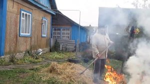 как осмолит поросёнка соломой .