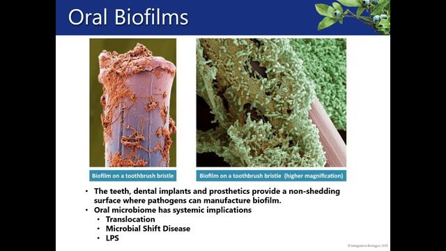 Biocidin - Botanical Solutions for Microbial Imbalances | Fullscript Webinar смотреть онлайн