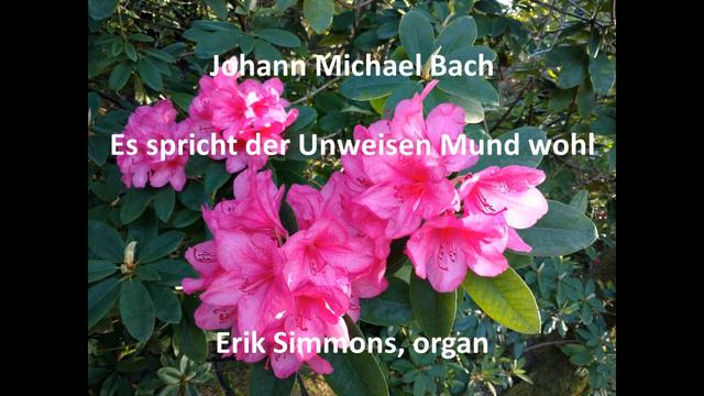 Johann Michael Bach - Es spricht der Unweisen Mund wohl смотреть онлайн