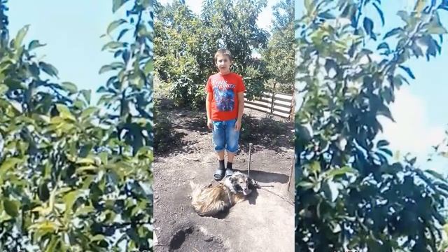Стихотворение "Чтобы всем животным было безопасно и тепло..." читает А. Азаров смотреть онлайн