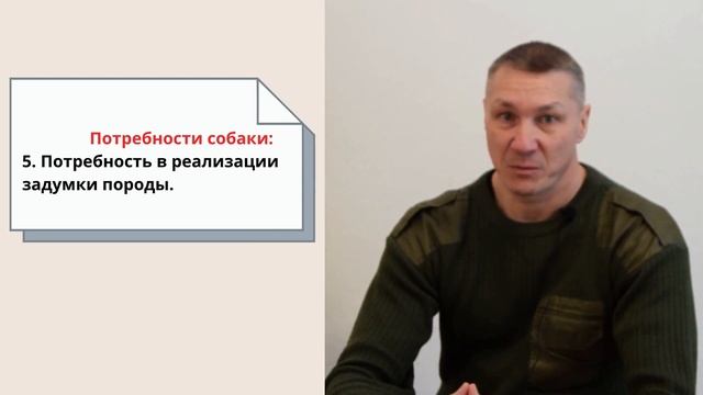 Первое занятие «Собаки» 1 часть смотреть онлайн