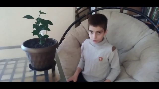 УХОД ЗА ЛИМОНОМ? смотреть онлайн