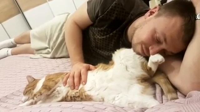 30.10.2015 - Кот Карат живет дома (видео из дома) смотреть онлайн