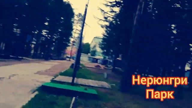 Нерюнгри Парк Белка🐿🐿🐿🐿🐿🐿🌲🌲🌳🌳🌳🌴🌴🌴 смотреть онлайн