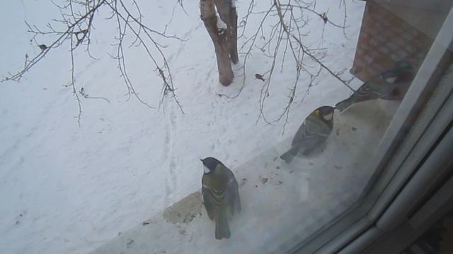 В очередь сукины дети смотреть онлайн
