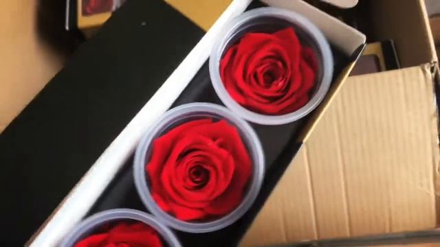 Купить стабилизированные бутоны роз, стебли, Цветы смотреть онлайн