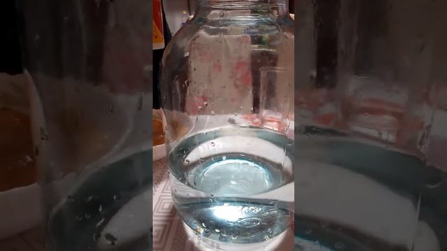 Чайный гриб.Секреты приготовления и уход смотреть онлайн